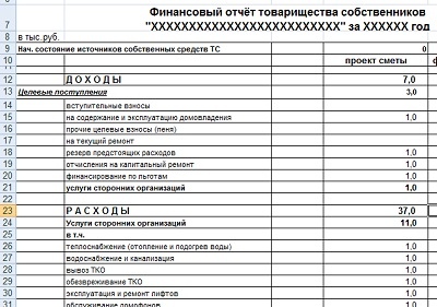 Примерная форма финансового отчёта для ТС