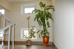 Мероприятия конкурса в Борисове