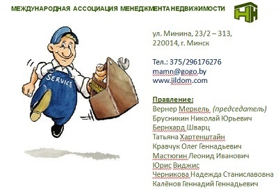 Отдельные примеры международного опыта 